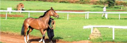 Ngong race Course